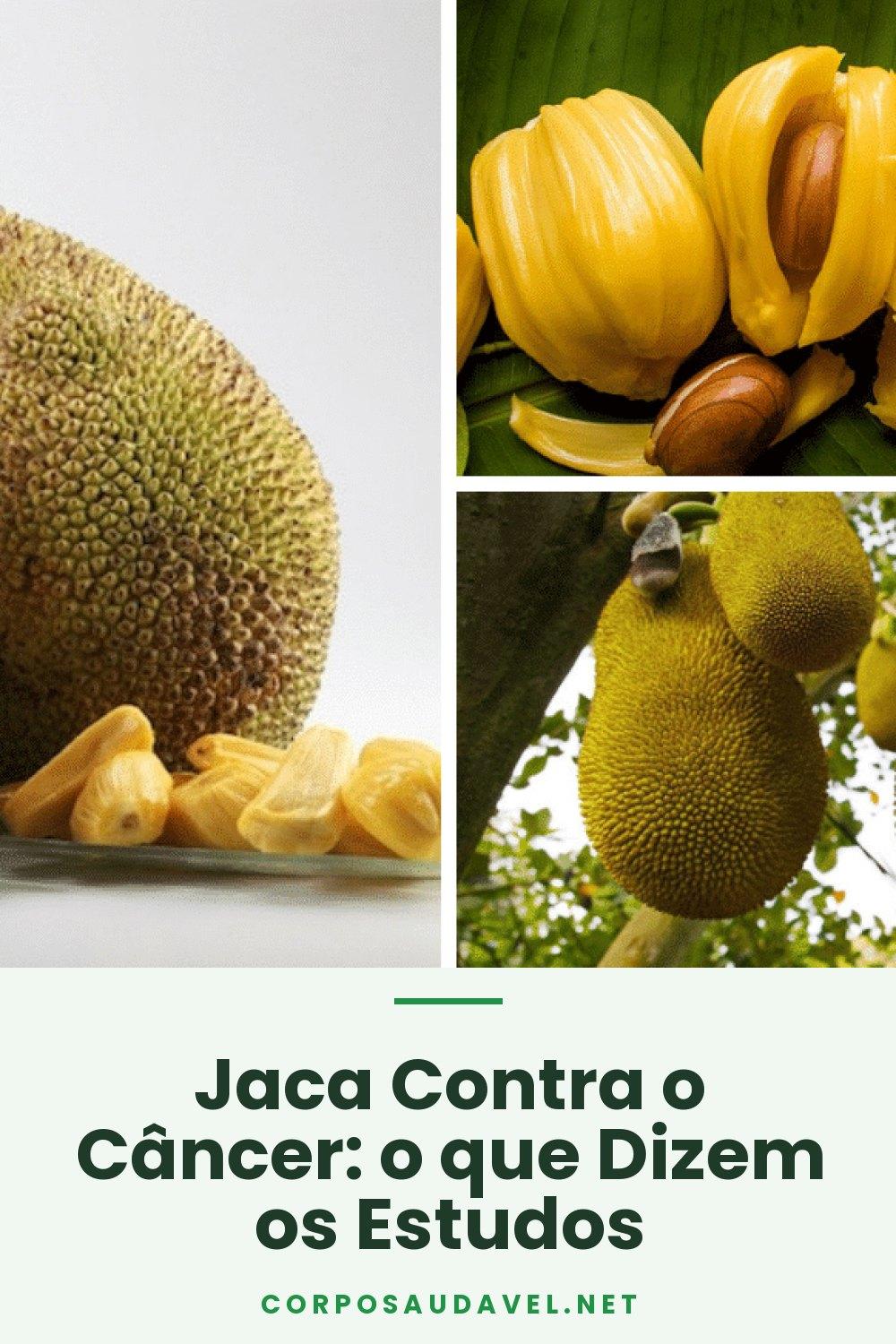 Jaca Contra o Câncer: o que Dizem os Estudos