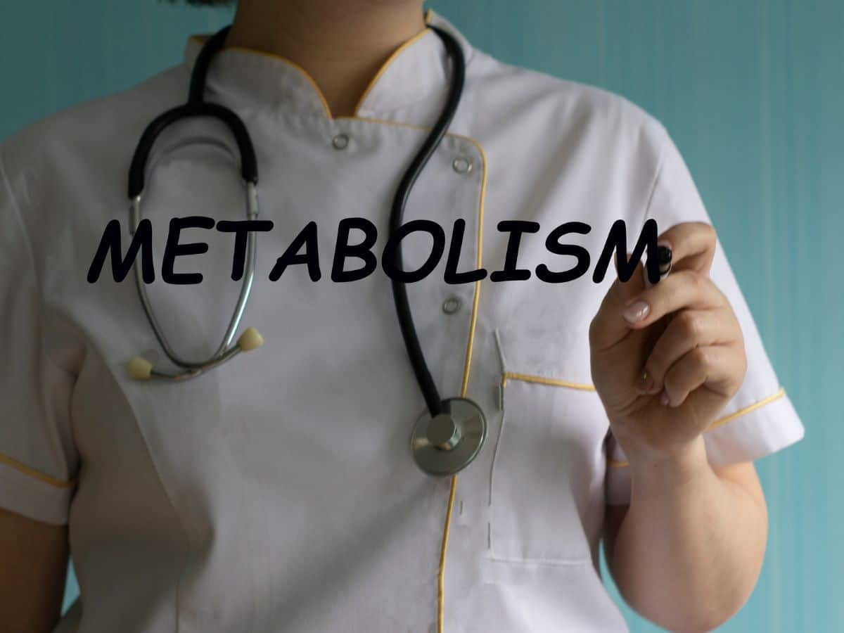 como acelerar o metabolismo
