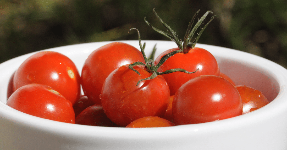 tomate e fruta ou verdura